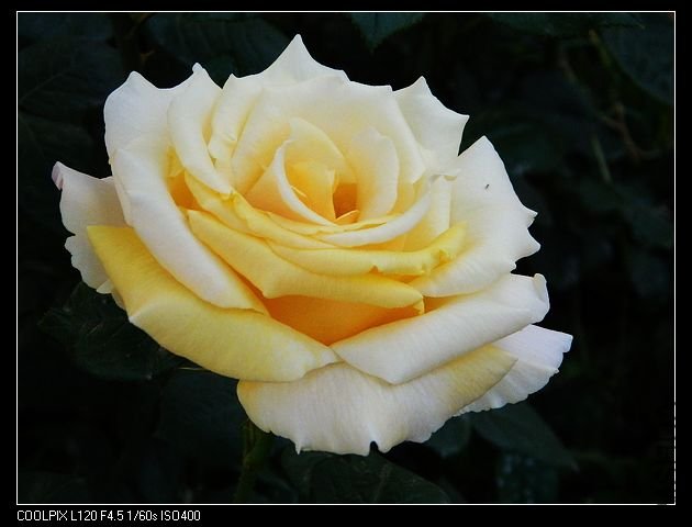 nEO_IMG_���� 120.jpg