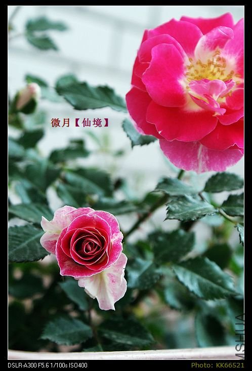 �ɾ�20110430.jpg