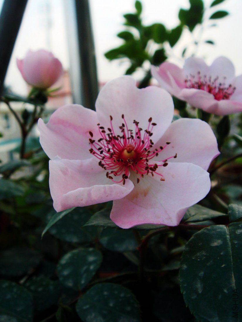 DSC05121.jpg