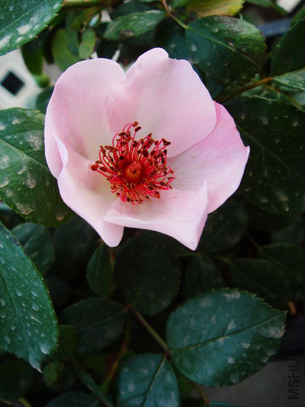DSC05120.jpg