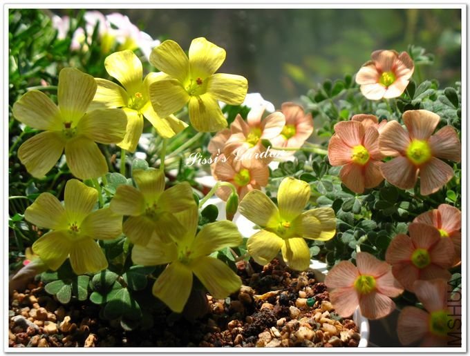 nEO_IMG_110408 054.jpg