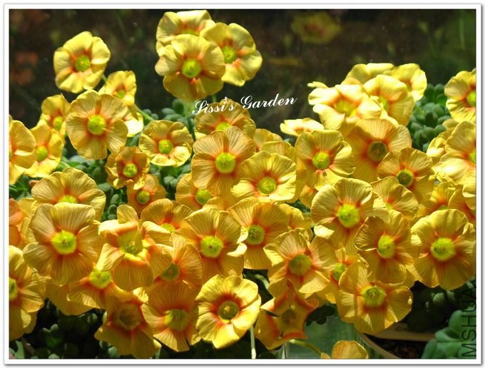 nEO_IMG_110408 037.jpg