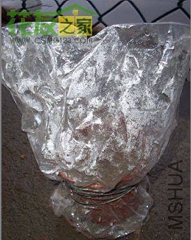 20090311_9bd2028fe26187d11503wS9l3rQi9n9D.jpg