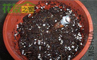 20090311_6ca3d5bbcecdf2559d5c5Tb59h3Bu5TR.jpg