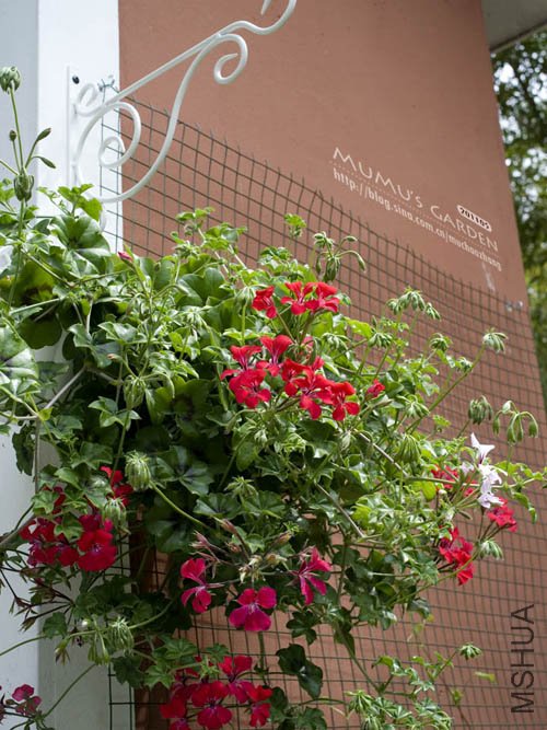 ���ÿ������� 20110501.jpg