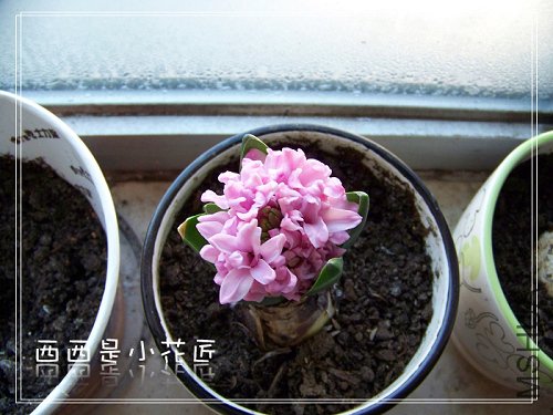100_8093_002.jpg