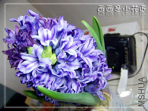 100_8341_002.jpg