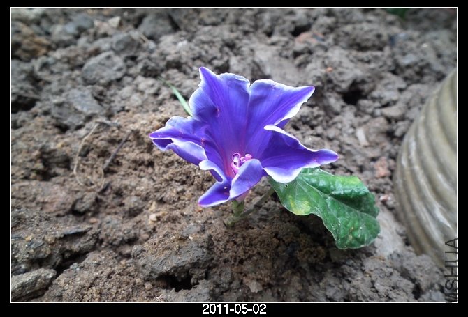 DSCF9638.JPG