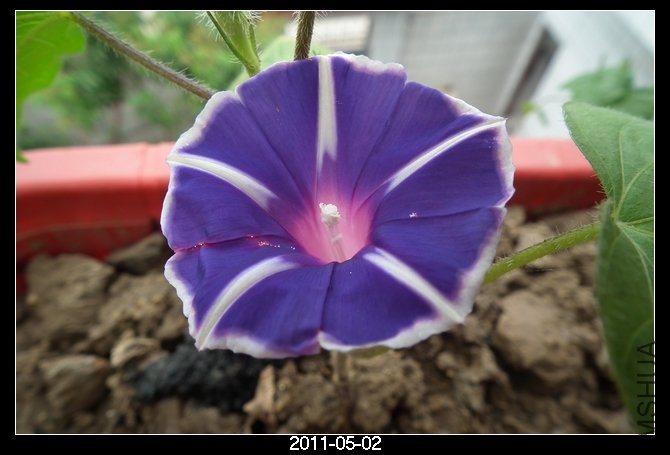 DSCF9658.JPG