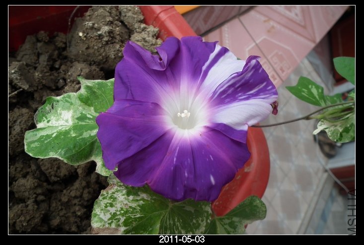 DSCF9661.JPG