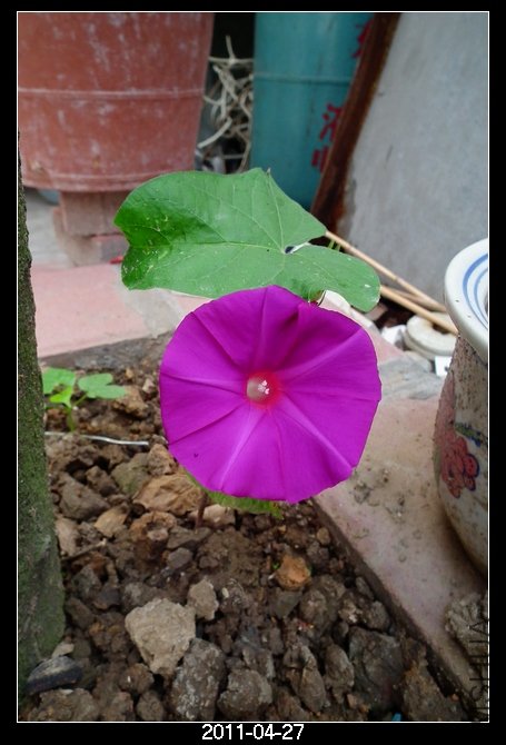 DSCF9331.JPG