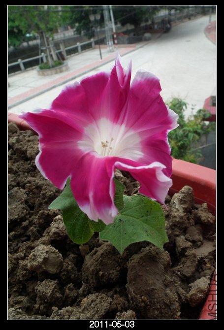 DSCF9664.JPG