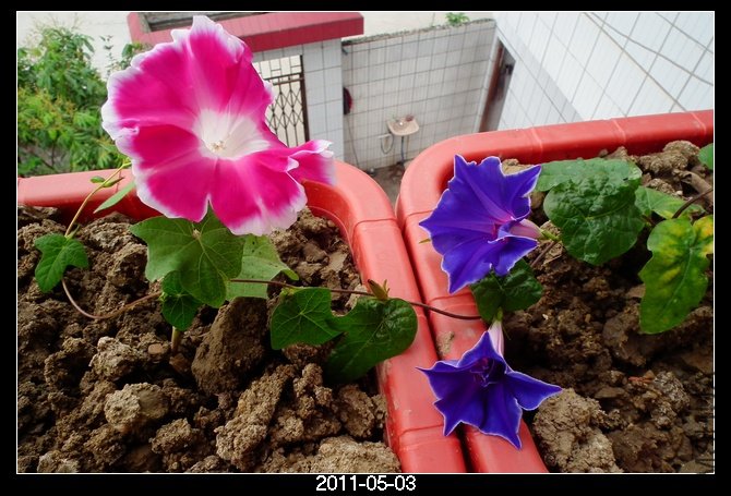 DSCF9668.JPG