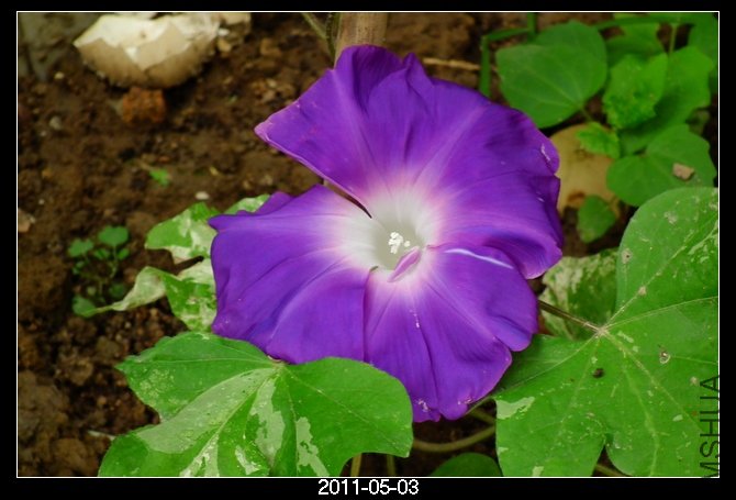 DSCF9679.JPG