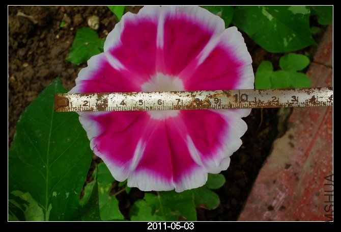 DSCF9690.JPG