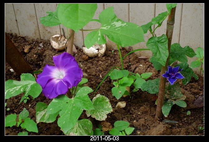 DSCF9681.JPG