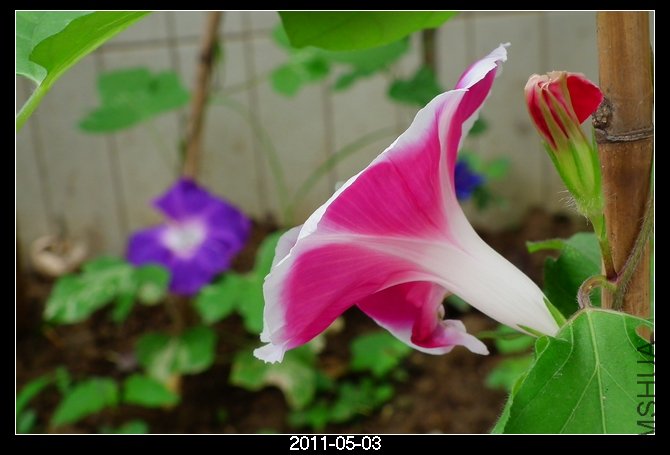 DSCF9697.JPG
