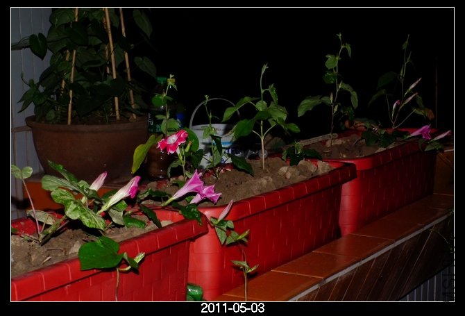 DSCF9735.JPG