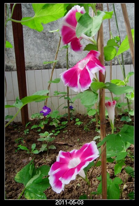 DSCF9717.JPG
