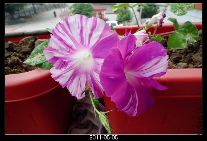 DSCF9845.JPG