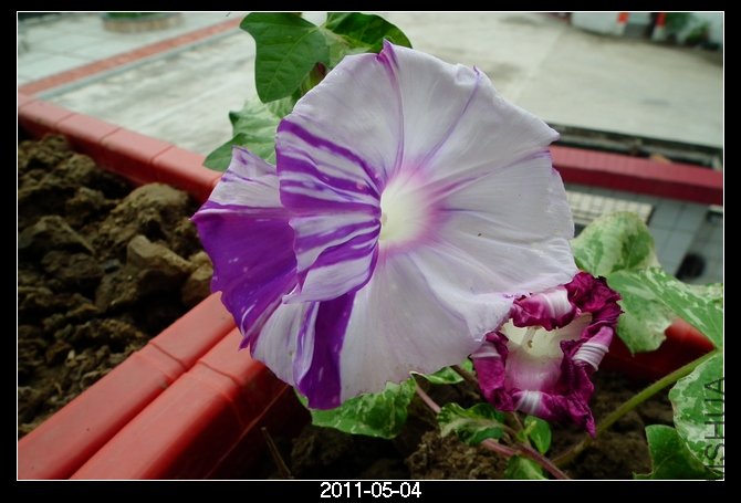 DSCF9763.JPG