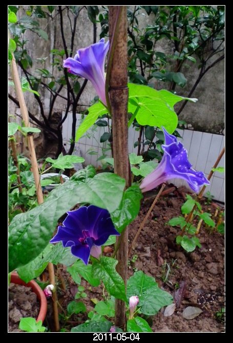 DSCF9749.JPG