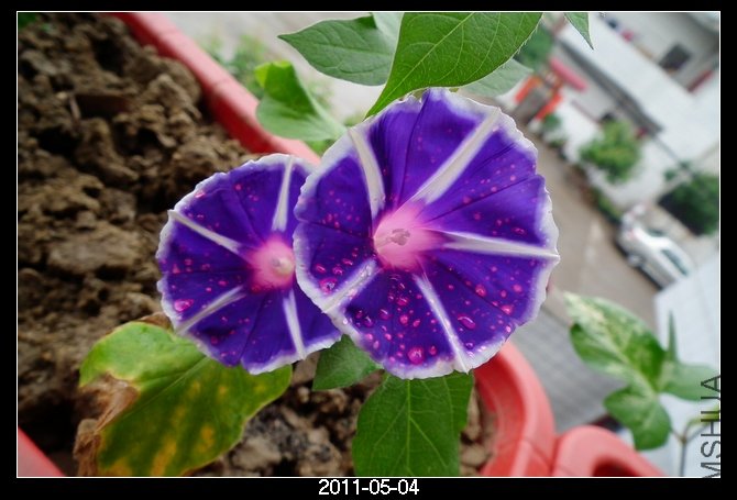 DSCF9741.JPG