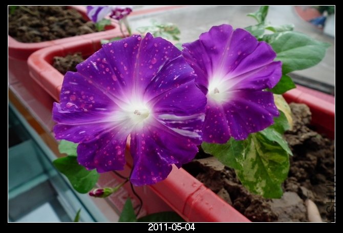 DSCF9737.JPG