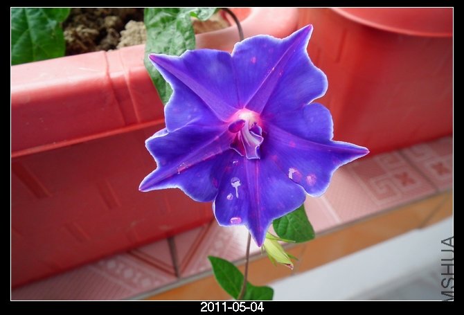 DSCF9762.JPG