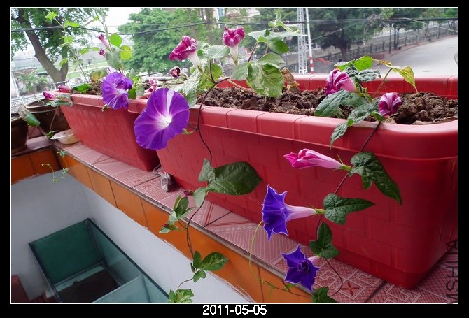 DSCF9807.JPG