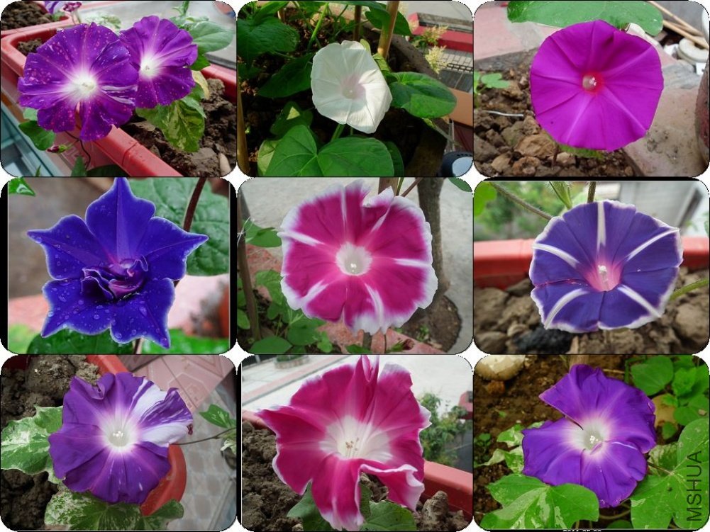 DSCF9738.JPG