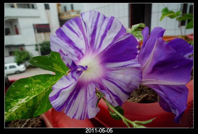 DSCF9795.JPG