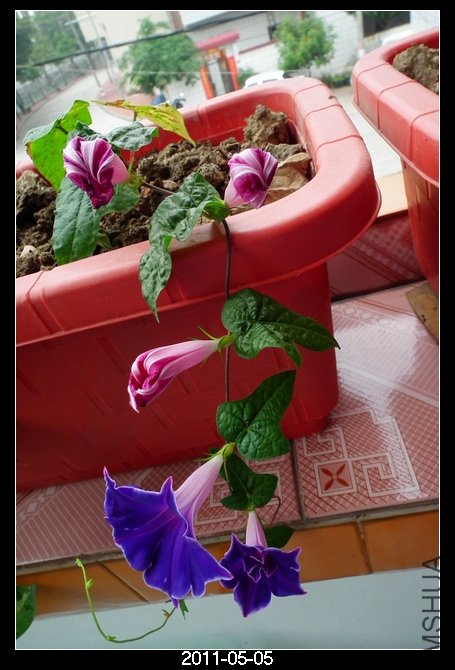DSCF9843.JPG