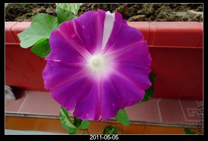 DSCF9844.JPG