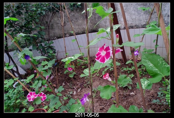 DSCF9836.JPG