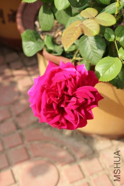 ��Ƭ 026.jpg