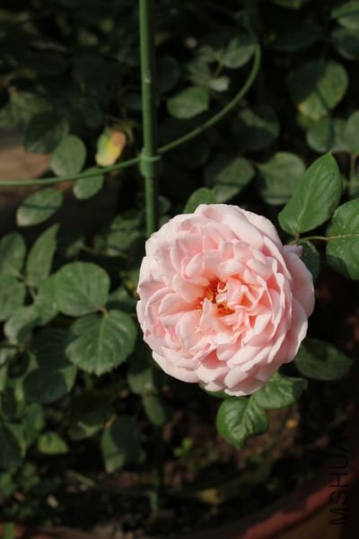 ��Ƭ 027.jpg