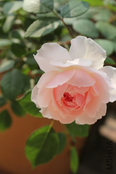 ��Ƭ 032.jpg