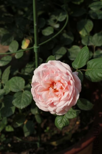 ��Ƭ 029.jpg
