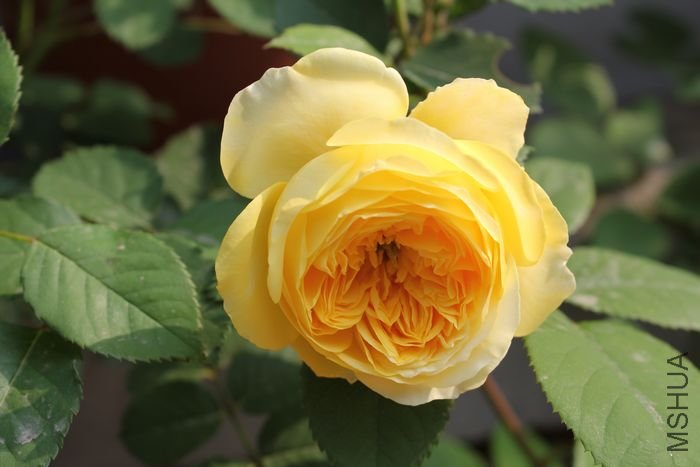 ��Ƭ 037.jpg