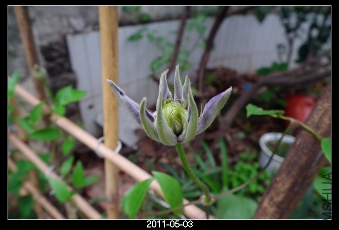 DSCF9727.JPG