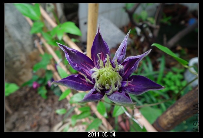 DSCF9772.JPG