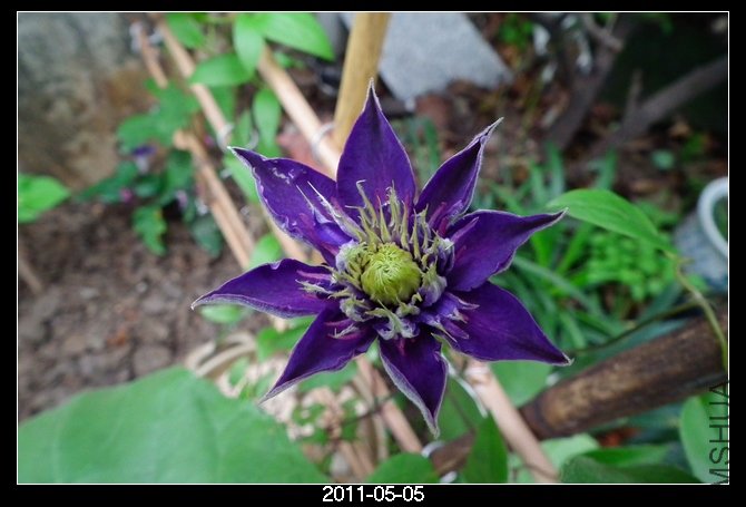 DSCF9832.JPG
