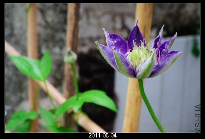 DSCF9774.JPG
