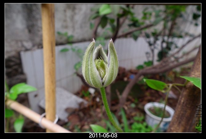 DSCF9703.JPG