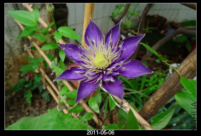 DSCF9867.JPG