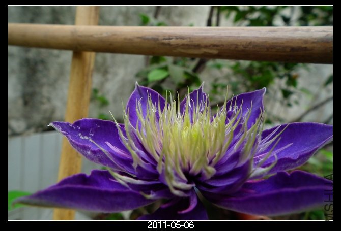 DSCF9883.JPG