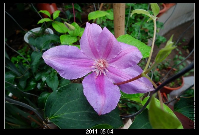 DSCF9756.JPG