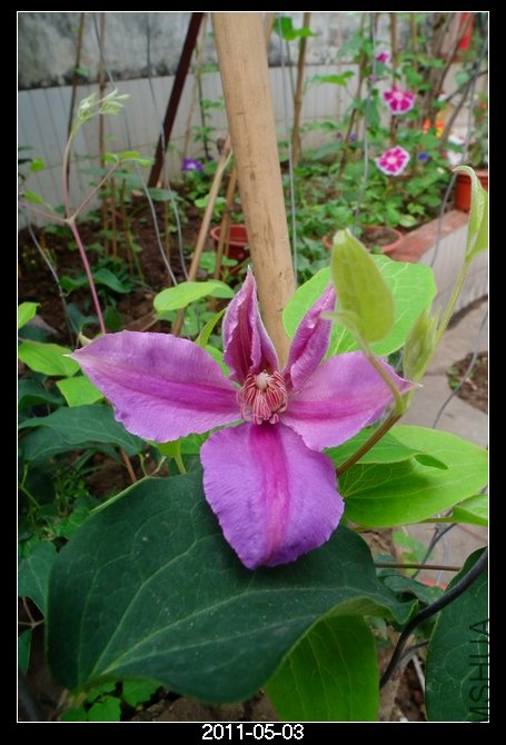 DSCF9687.JPG