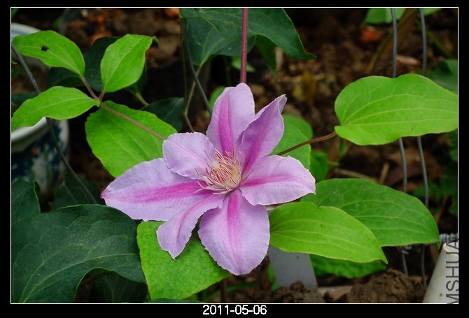DSCF9898.JPG